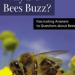 خرید و دانلود نسخه کامل کتاب Why Do Bees Buzz?: Fascinating Answers to Questions about Bees (Animal Q&a Series)