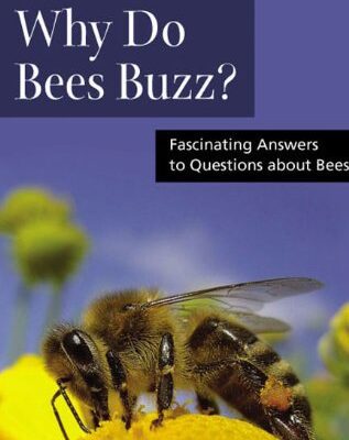 خرید و دانلود نسخه کامل کتاب Why Do Bees Buzz?: Fascinating Answers to Questions about Bees (Animal Q&a Series)