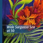 خرید و دانلود نسخه کامل کتاب Wide Sargasso Sea at 50