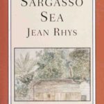 خرید و دانلود نسخه کامل کتاب Wide Sargasso Sea