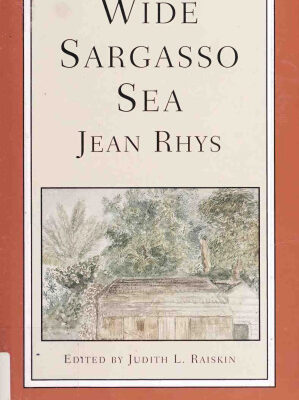 خرید و دانلود نسخه کامل کتاب Wide Sargasso Sea