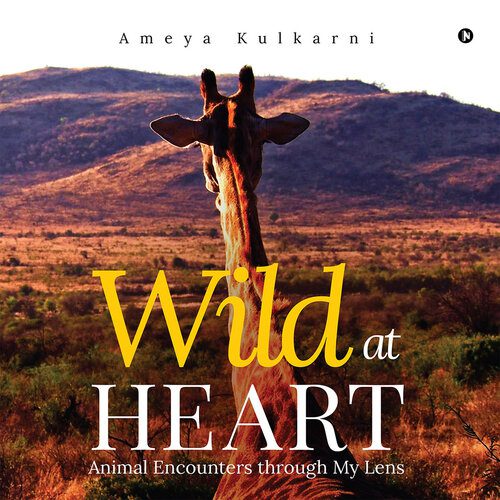 خرید و دانلود نسخه کامل کتاب Wild at Heart: Animal Encounters through My Lens_68e076a6906bc.jpeg خرید و دانلود نسخه کامل کتاب Wild at Heart: Animal Encounters through My Lens
