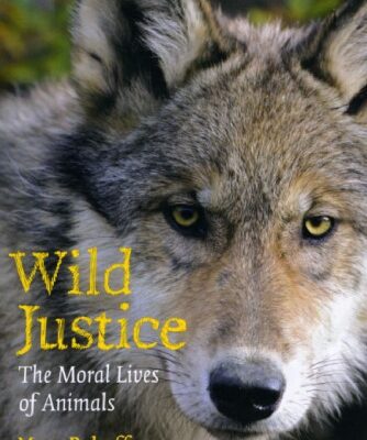 خرید و دانلود نسخه کامل کتاب Wild Justice: The Moral Lives of Animals