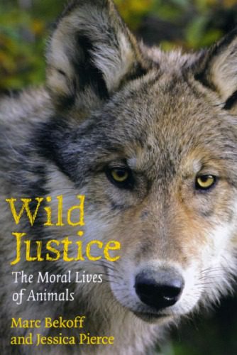 خرید و دانلود نسخه کامل کتاب Wild Justice: The Moral Lives of Animals_68e7e6b02b64c.jpeg خرید و دانلود نسخه کامل کتاب Wild Justice: The Moral Lives of Animals