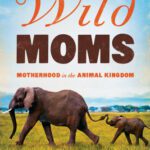 خرید و دانلود نسخه کامل کتاب Wild Moms: Motherhood in the Animal Kingdom