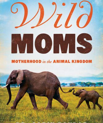 خرید و دانلود نسخه کامل کتاب Wild Moms: Motherhood in the Animal Kingdom