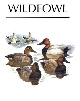خرید و دانلود نسخه کامل کتاب Wildfowl: An Identification Guide to the Ducks, Geese and Swans of the World