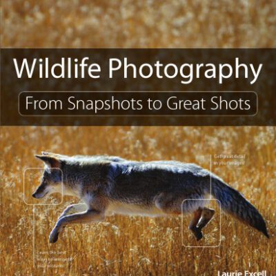 خرید و دانلود نسخه کامل کتاب Wildlife Photography: From Snapshots to Great Shots