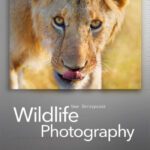 خرید و دانلود نسخه کامل کتاب Wildlife Photography: On Safari with your DSLR: Equipment, Techniques, Workflow