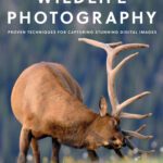 خرید و دانلود نسخه کامل کتاب Wildlife Photography: Proven Techniques for Capturing Stunning Digital Images