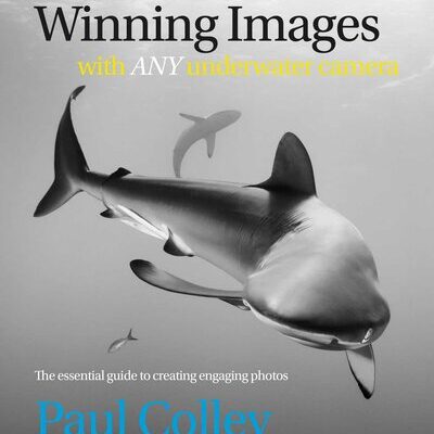 خرید و دانلود نسخه کامل کتاب Winning Images with Any Underwater Camera: The essential guide to creating engaging photos