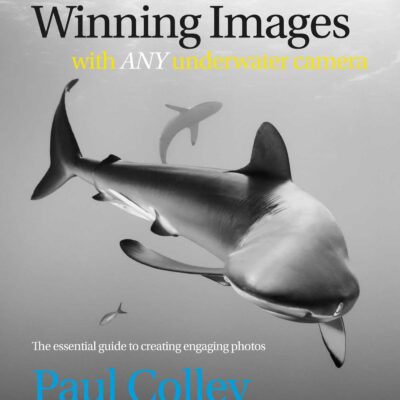 خرید و دانلود نسخه کامل کتاب Winning Images with Any Underwater Camera: The essential guide to creating engaging photos