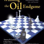 خرید و دانلود نسخه کامل کتاب Winning the Oil Endgame