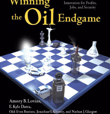 خرید و دانلود نسخه کامل کتاب Winning the Oil Endgame