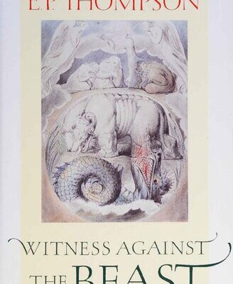 خرید و دانلود نسخه کامل کتاب Witness Against the Beast: William Blake and the Moral Law