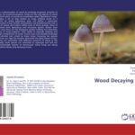 خرید و دانلود نسخه کامل کتاب Wood Decaying Fungi