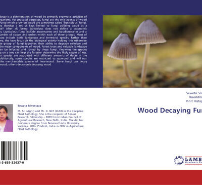 خرید و دانلود نسخه کامل کتاب Wood Decaying Fungi