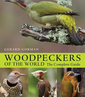 خرید و دانلود نسخه کامل کتاب Woodpeckers of the World. The Complete Guide