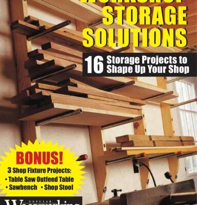 خرید و دانلود نسخه کامل کتاب Workshop Storage Solutions: 16 Storage Projects to Shape Up Your Shop