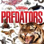 خرید و دانلود نسخه کامل کتاب World of Animals Book of Predators