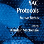 خرید و دانلود نسخه کامل کتاب YAC Protocols 2nd Ed (Methods in Molecular Biology Vol 349)