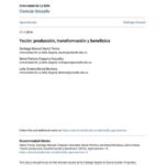 خرید و دانلود نسخه کامل کتاب Yacón (Smallanthus sonchifolius): producción, transformación y beneficios