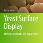 خرید و دانلود نسخه کامل کتاب Yeast Surface Display: Methods, Protocols, and Applications