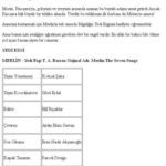 خرید و دانلود نسخه کامل کتاب Yedi Ezgi