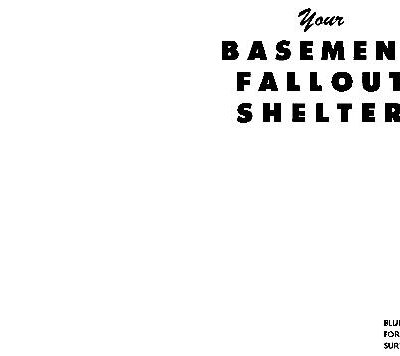 خرید و دانلود نسخه کامل کتاب Your Basement Fallout Shelter