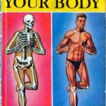 خرید و دانلود نسخه کامل کتاب Your Body