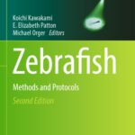 خرید و دانلود نسخه کامل کتاب Zebrafish: Methods and Protocols