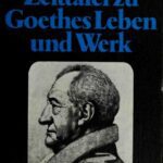خرید و دانلود نسخه کامل کتاب Zeittafel zu Goethes Leben und Werk