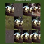خرید و دانلود نسخه کامل کتاب Zimbabwean Transitions: Essays on Zimbabwean Literature in English, Ndebele and Shona (Matatu)