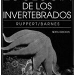 خرید و دانلود نسخه کامل کتاب Zoología de los invertebrados