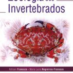 خرید و دانلود نسخه کامل کتاب Zoologia dos Invertebrados