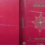 خرید و دانلود نسخه کامل کتاب Zoología. Vol. 1: Invertebrados