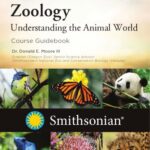 خرید و دانلود نسخه کامل کتاب Zoology: Understanding the Animal World