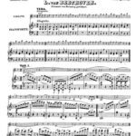 خرید و دانلود نسخه کامل کتاب Zwölf Variationen über die Arie “Se vuol ballare, Signor contino” aus der Oper Figaros Hochzeit von W. A. Mozart