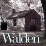 خرید و دانلود کتاب صوتی Walden
