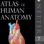 خرید و دانلود اطلس آناتومی بدن انسان نتر 2019 ویرایش 7