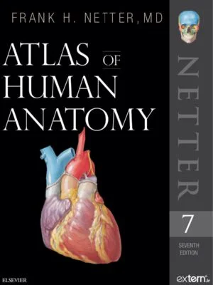 خرید و دانلود اطلس آناتومی بدن انسان نتر 2019 ویرایش 7