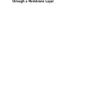 خرید و دانلود نسخه کامل کتاب Basic equations of the mass transport through a membrane layer
