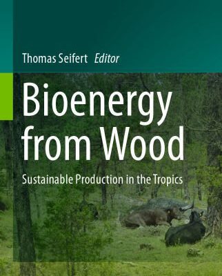 خرید و دانلود نسخه کامل کتاب Bioenergy from Wood: Sustainable Production in the Tropics