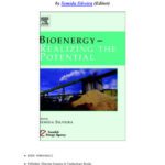 خرید و دانلود نسخه کامل کتاب Bioenergy – Realizing the Potential