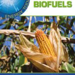 خرید و دانلود نسخه کامل کتاب Biofuels (Energy Today)
