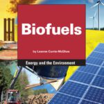 خرید و دانلود نسخه کامل کتاب Biofuels