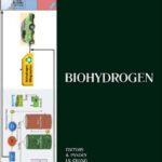 خرید و دانلود نسخه کامل کتاب Biohydrogen