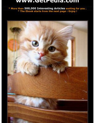 خرید و دانلود نسخه کامل کتاب Build Your Own Smart Home