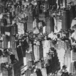 خرید و دانلود نسخه کامل کتاب Cyber Cities: Visual Perception in the Age of Electronic Communication