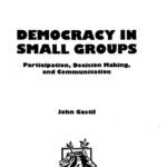 خرید و دانلود نسخه کامل کتاب Democracy in Small Groups: Participation, Decision-making and Communication
